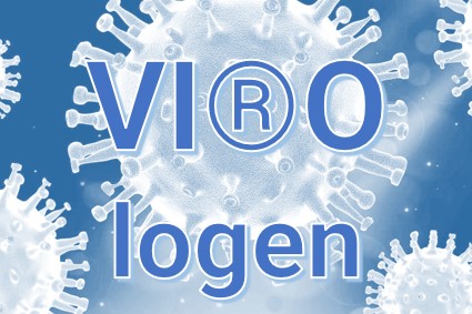 Bild Kategorie